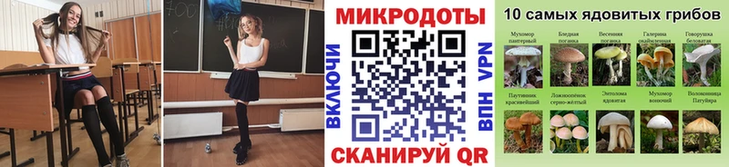 mega зеркало  продажа наркотиков  Морозовск  Псилоцибиновые грибы Psilocybine cubensis 